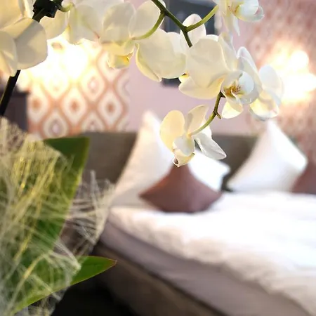 Hotel Kleine Frankfurt 2*